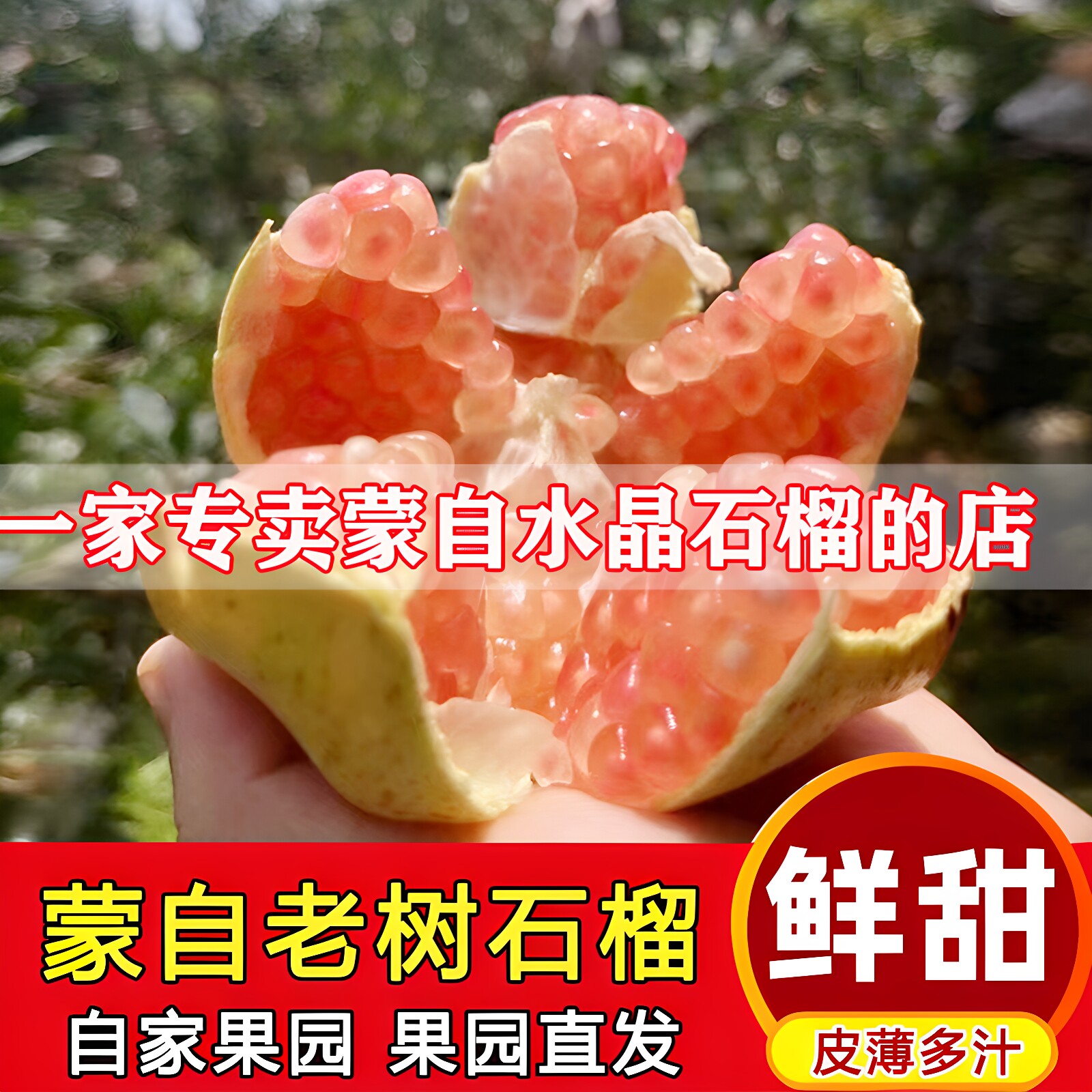 30年老树正宗蒙自薄皮水晶甜石榴