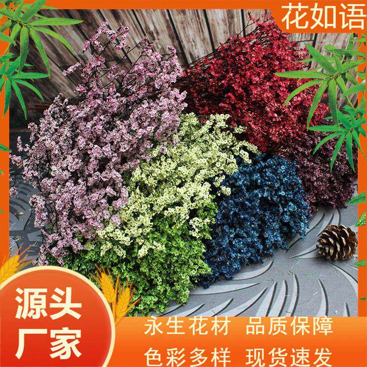 云南干花【水晶草】束套装风干花永生花 装饰花干花 水晶花120克