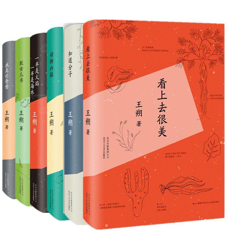 【精装硬壳 】王朔作品集 看上去很美+致女儿书+我是你爸爸+一半是火焰一半是海水+ 动物凶猛+知道分子情感小说中国现当代文学小说
