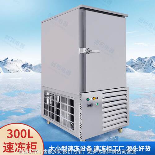 广东鸭胗鱿鱼花快速冷冻柜 鲽鱼水产品海参冷冻速冻机鸡心速冻柜