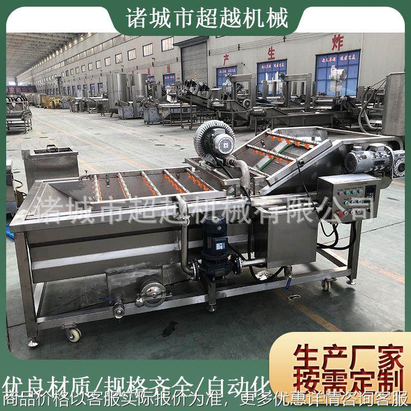 厂家货源生产西红柿蓝莓清洗机 果蔬清洗流水线 气泡式表皮清洗机