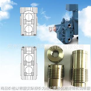 耐普顿计量泵止回阀、海王星NEPTUNE止回阀单向阀米顿罗止回阀