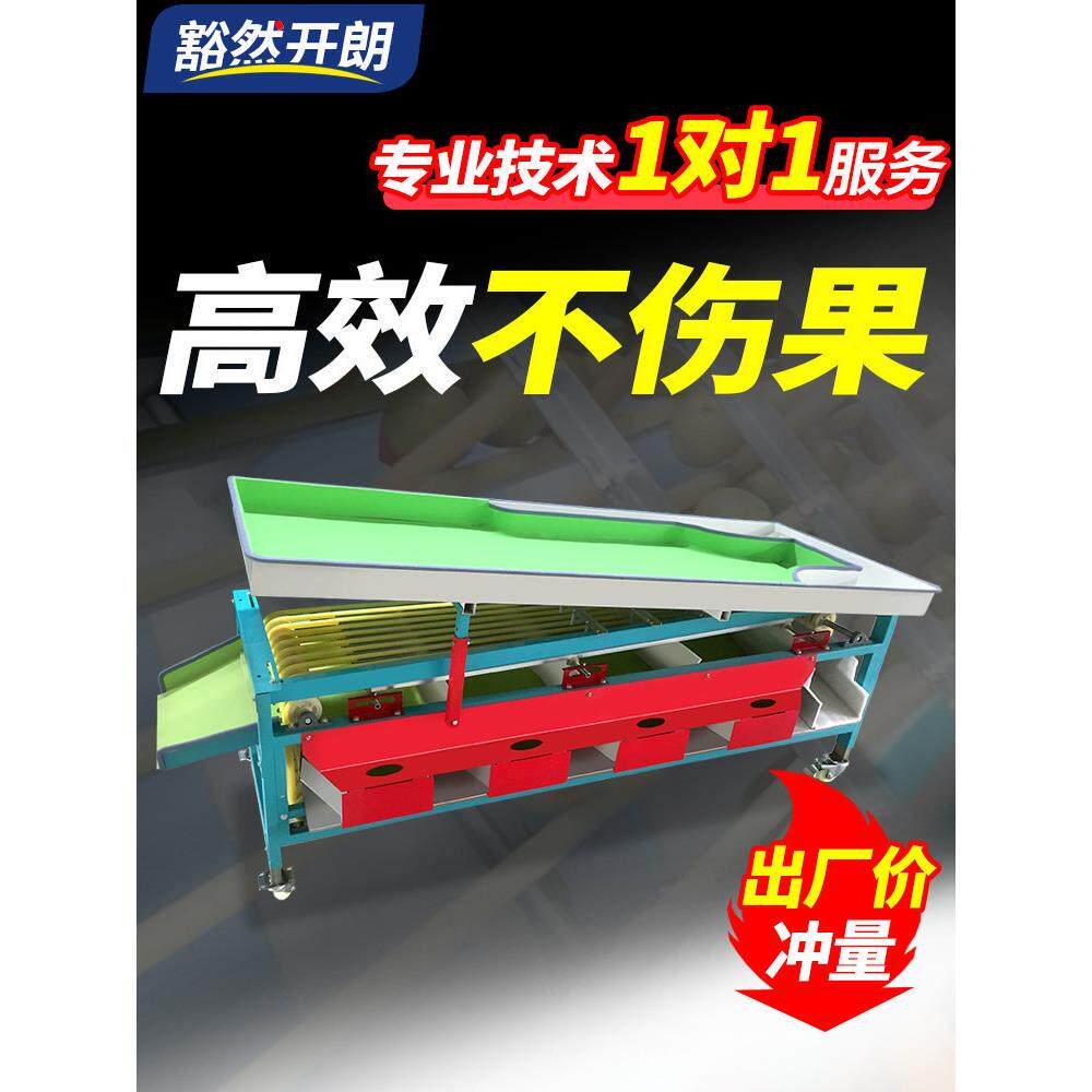 选果机水果分拣机全自动大小筛选分级机李子樱桃圣女果山竹分选机