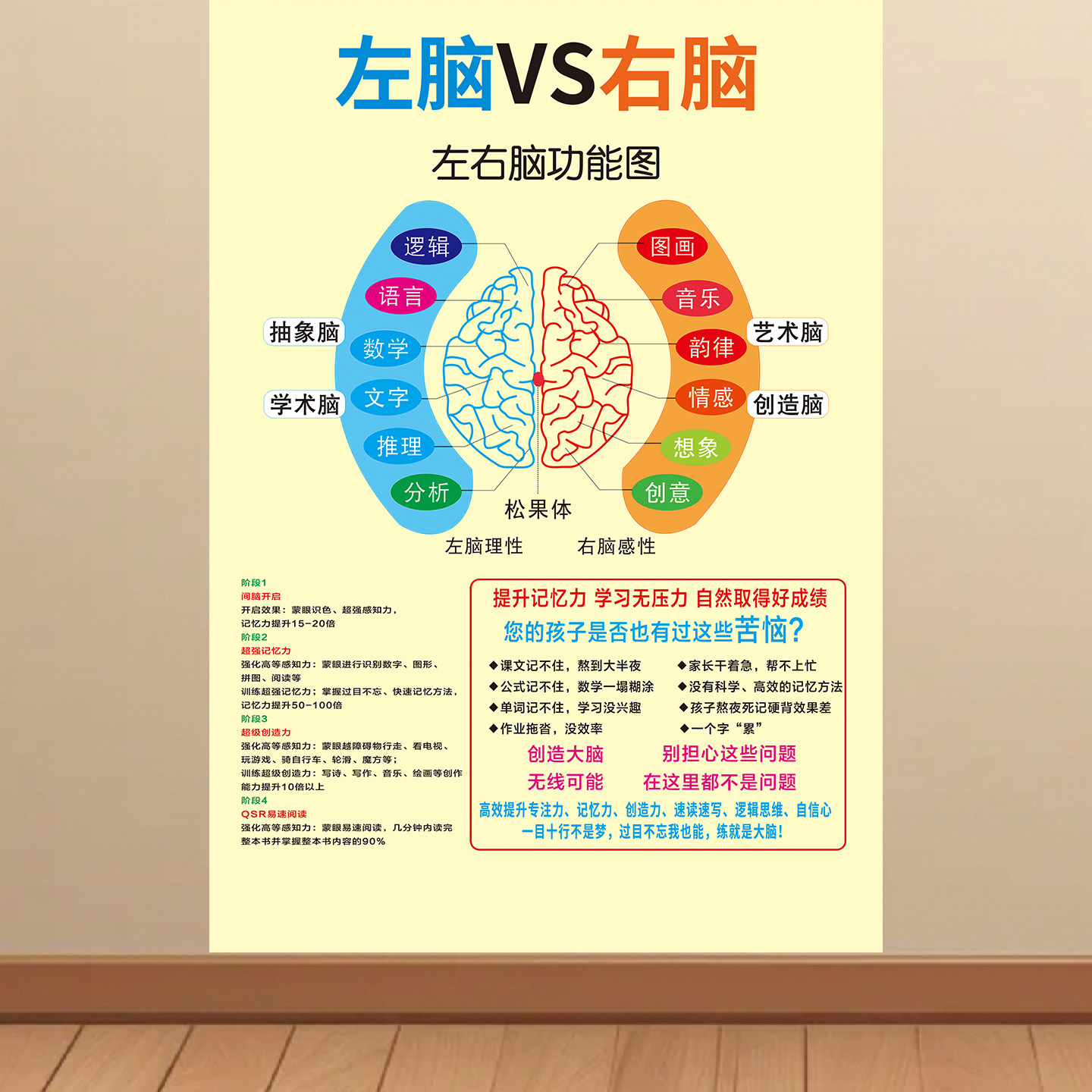左脑右脑功能区分图贴纸人体开发大脑左右脑部功能图海报感统墙贴