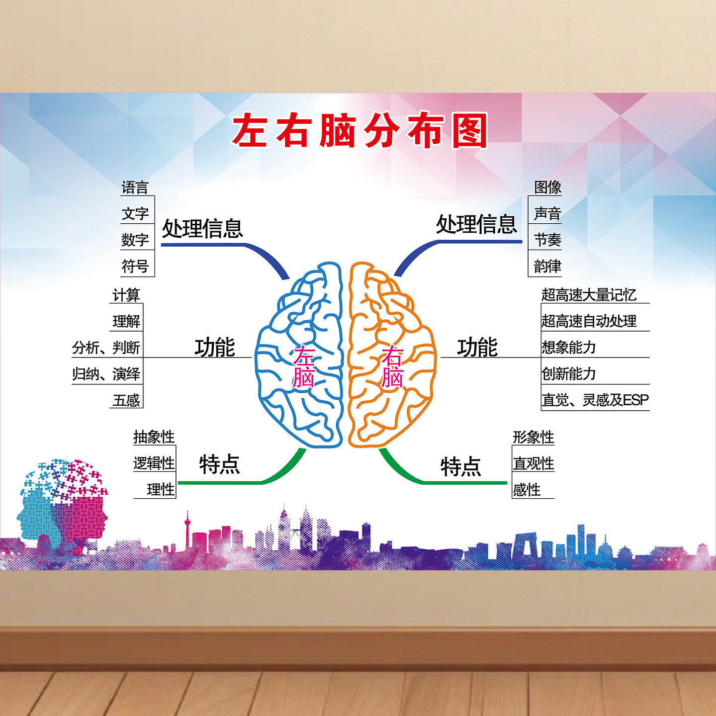 大脑功能分布图海报婴幼儿童感统左右脑功能图墙贴早教中心装饰画
