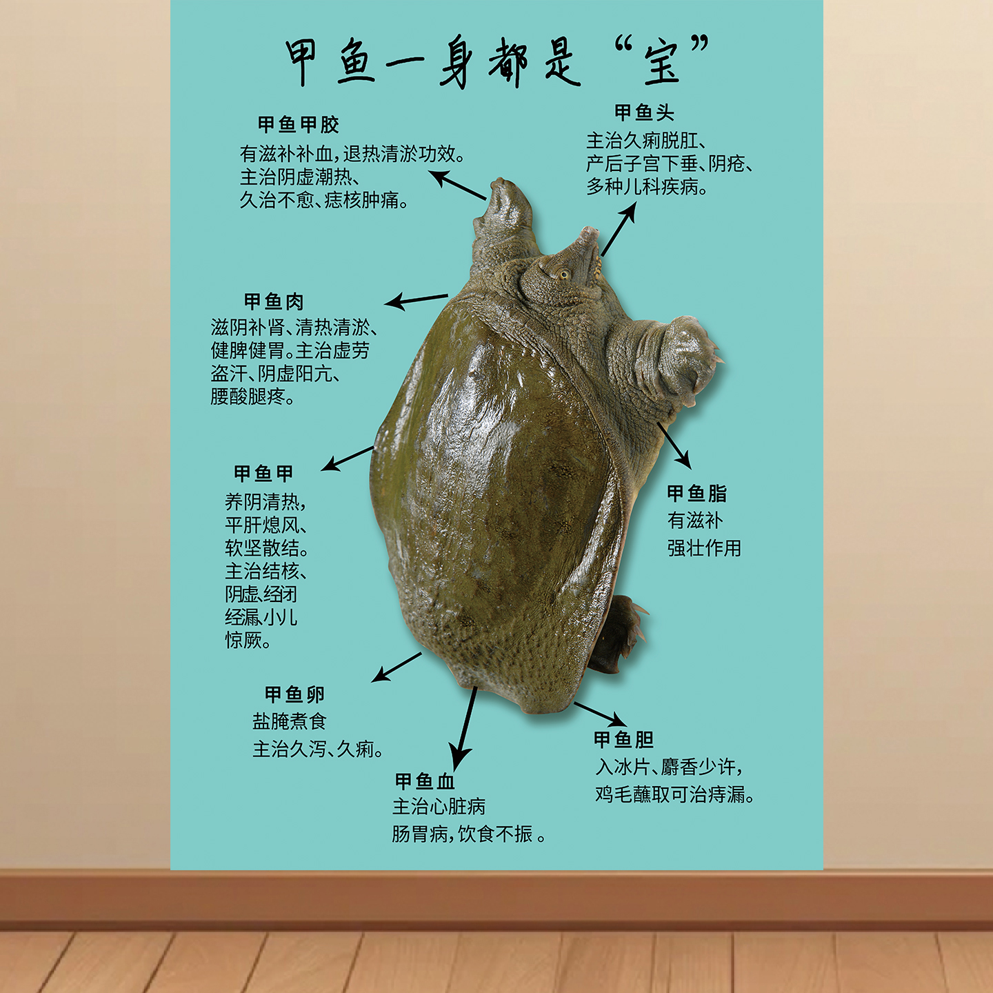 甲鱼鸡煲贴纸贴画餐厅鱼饭店背景装饰墙贴自粘海报挂图KT板图片图片