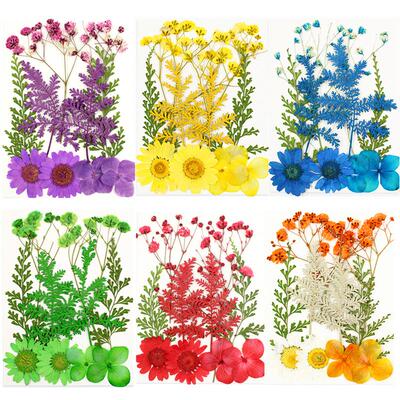 干花压花材料包 真花押花 Pressed Flower干花小包 花瓣妆贴脸妆