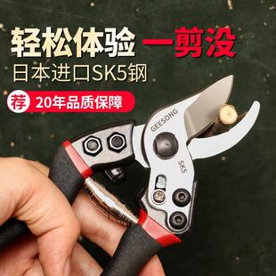 V15花剪修枝剪花艺剪刀修花家用园艺树枝果树 GEESONG 花草剪子