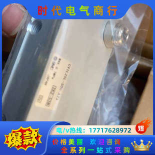 A73议价 300 磁偶式 无杆气缸CY1L25L