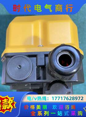 意大利 TECNO ELETTRICA RAVASI 扭缆开议价