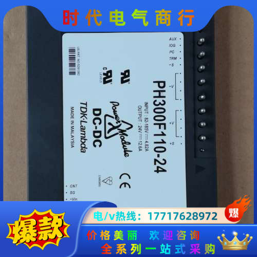 PH300F110-24直流电源模块议价