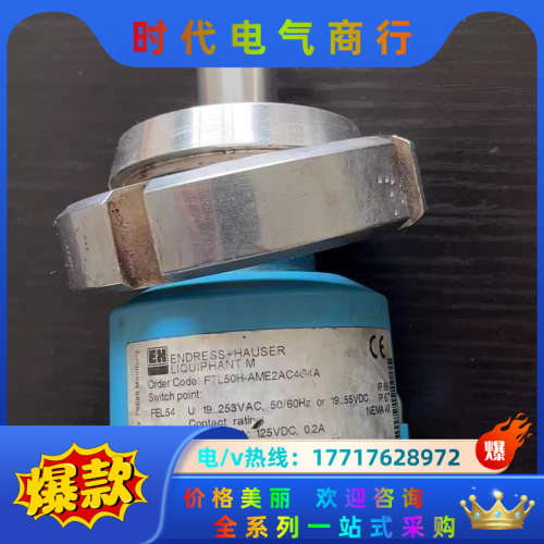 正品Endress+Hauser FTL50H-AME2议价