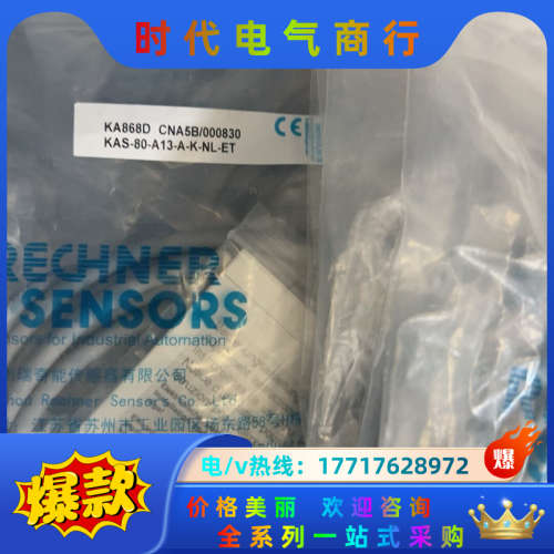 RECHNER瑞奇传感器KAS-80-A13-A-K-NL-议价