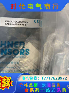 RECHNER瑞奇传感器KAS-80-A13-A-K-NL-议价