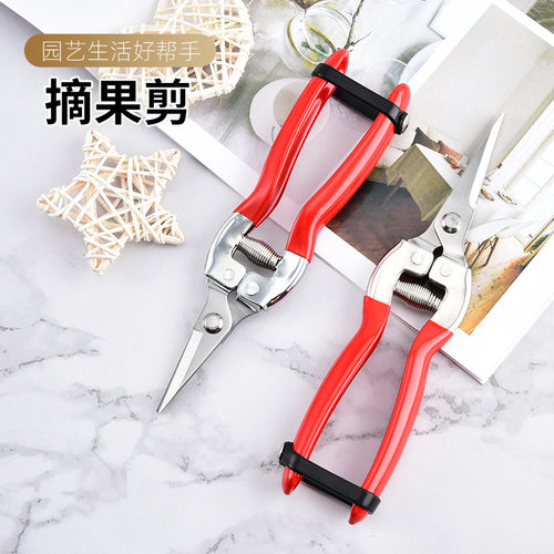 现货不锈钢剪刀园林工具修树枝摘