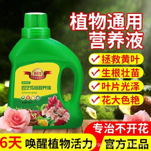 植物营养液通用型家用种植绿萝多肉花卉发财树富贵竹水培营养肥料