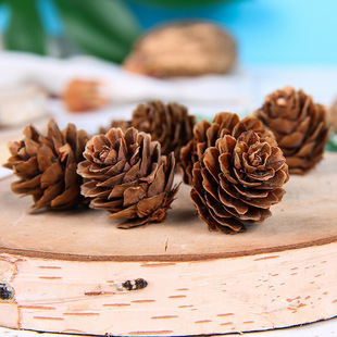 圣诞松果大落叶松果手工DIY工艺品室内灯具装饰挂件拍摄道具