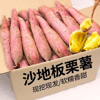 正宗板栗红薯新鲜现挖农家自种黄心地瓜陕西沙地当季鸡蛋黄番薯香