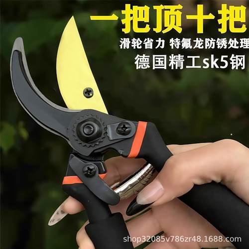 修枝剪园林工具剪刀果树枝剪刀花园绿化修剪园艺植物粗枝剪子