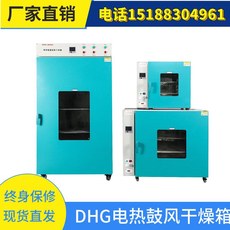 DGH电热鼓风干燥箱玻璃烧杯烘干设备仪器特尔仪器鼓风干燥箱