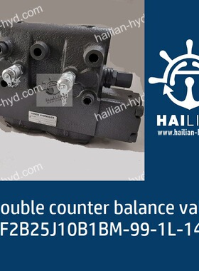 RF2B25J10B1BM-99-1L-14 Double counter balance valve 液压阀