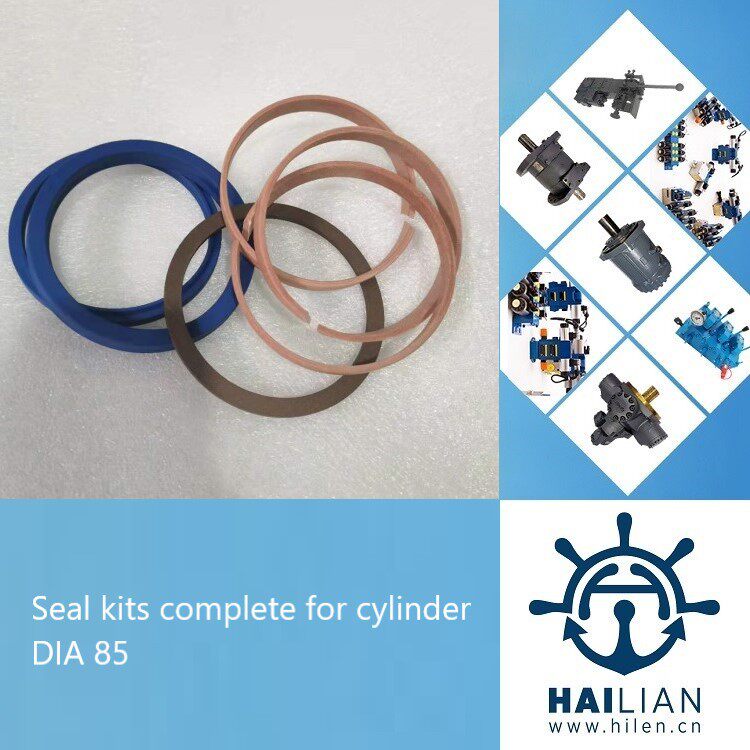 Seal kits complete for cylinder DIA 85油缸密封修理包