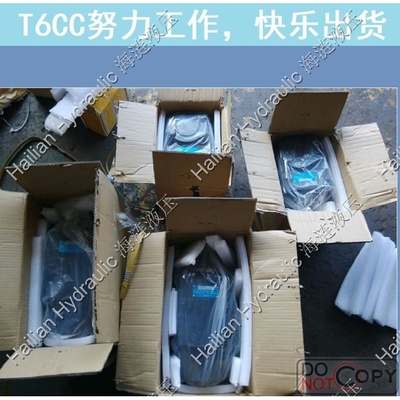 Denison T6CC系列丹尼逊双联泵叶片泵船舶锚机吊机油泵液压