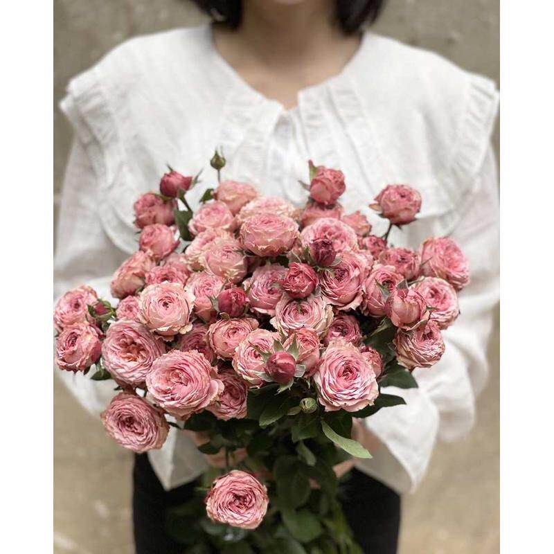 小玫瑰多头玫瑰泡泡玫瑰级爱人多头宝贝泡泡a玫瑰高雅新鲜爱人