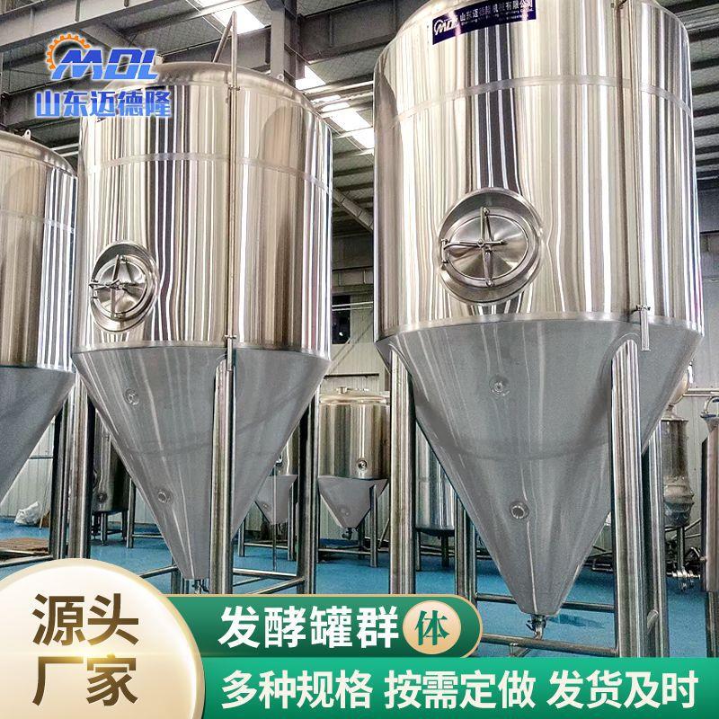 不锈钢储罐食品饮料小型储罐多样双层不锈钢啤酒果酒发酵罐