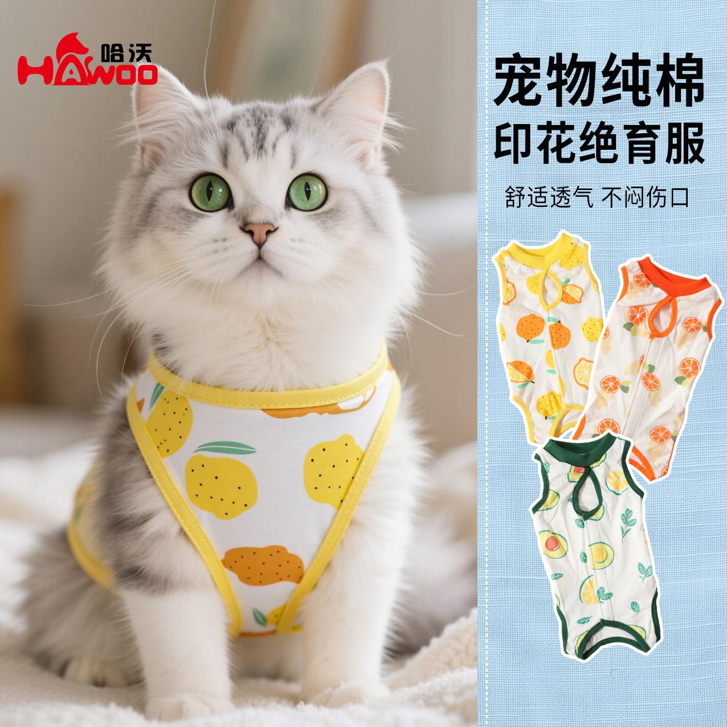 猫咪绝育服防舔防脱魔术贴四脚衣薄款断奶工作服猫咪宠物衣服