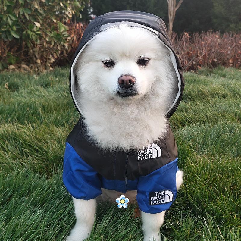 狗狗雨衣两脚防水雨披泰迪博美法斗柯基小型中型犬宠物雨衣雨披