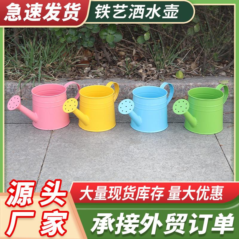 厂家直供铁艺洒水壶彩色园艺浇水壶儿童多肉植物浇花壶铁皮洒水壶
