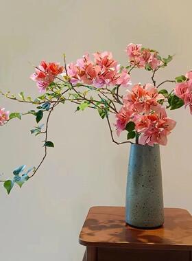 12【不甜西瓜】三角梅盆栽室内阳台庭院好养花卉四季开花爬藤好养