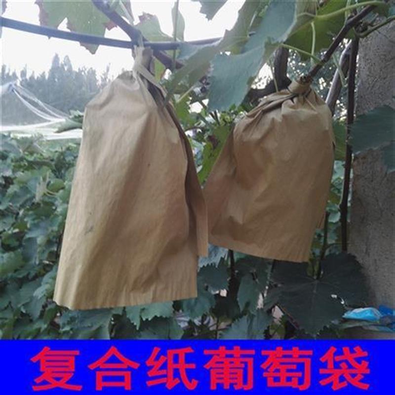圣府复合纸葡萄套袋巨峰专用套袋纸袋子遮光防雨防虫防病害防污染