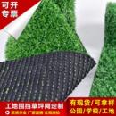 市政建筑工地外墙仿真草坪网围挡草皮绿色工程人工假草绿化草坪墙