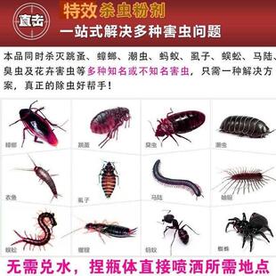 药家用房间有蜈蚣克星药粉蝎子 蛐蛐药室内驱虫药杀蛐蛐药灭蟋蟀