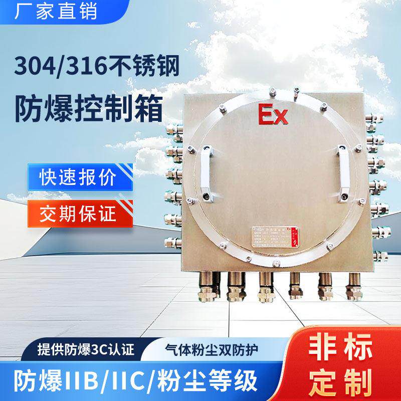 304不锈钢防爆接线箱BT4配电箱粉尘控制弱电模块箱316CT6照明开关
