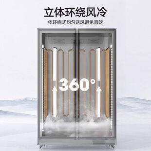 冷冻展示柜商用速冻急冻肉类冻品三门超市立式 冰箱双门低温冰柜