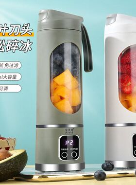 榨汁机家用小型便携式电动打炸