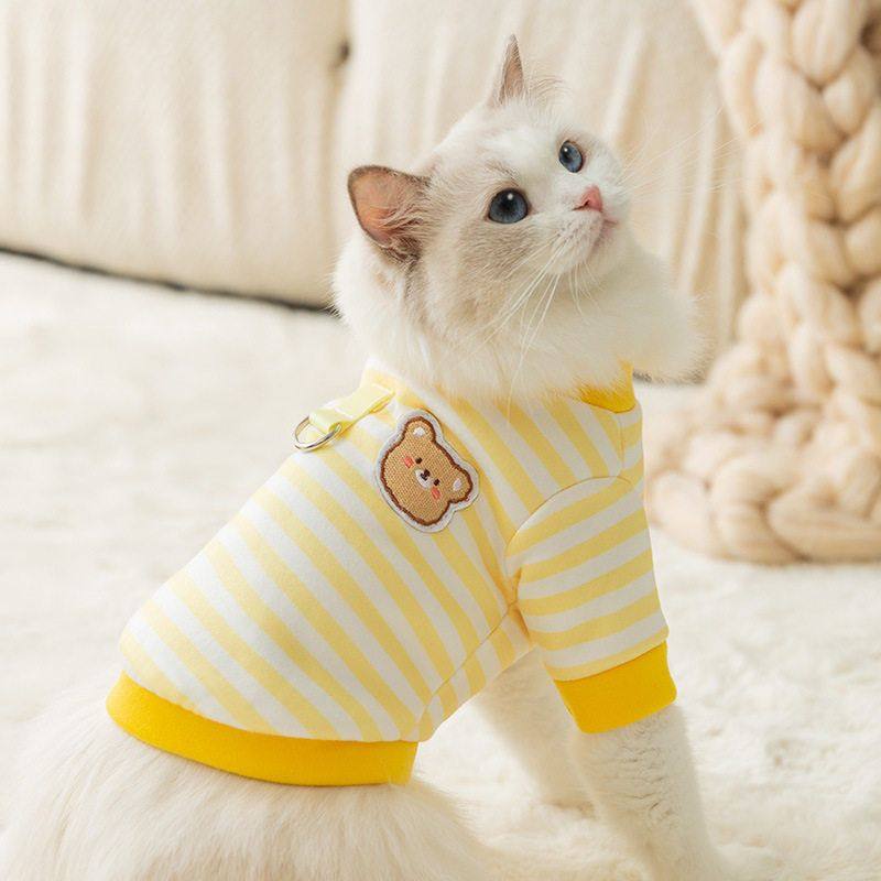 春秋季日韩系卡通小熊条纹猫咪卫衣成猫幼猫蓝猫两脚衣宠物猫衣服
