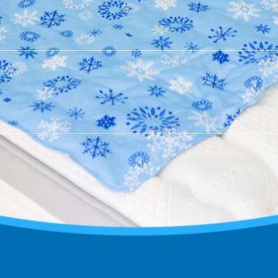 极速座椅夏天床垫成人冰凉车用睡觉加厚单人降温制冷耐用冰席垫子