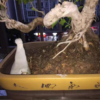 家用紫砂花盆特大长方形假山盆景吸水石盆景底座托盘上水石专用盆