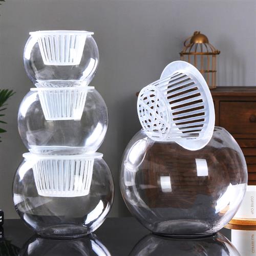 创意水培植物透明玻璃花瓶容器绿萝盆栽水养花盆圆球形小鱼缸器皿