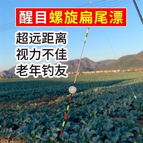 台州传统钓漂气泡漂鲫鱼小立漂醒目长竿钓鱼漂高灵敏近视草洞短漂