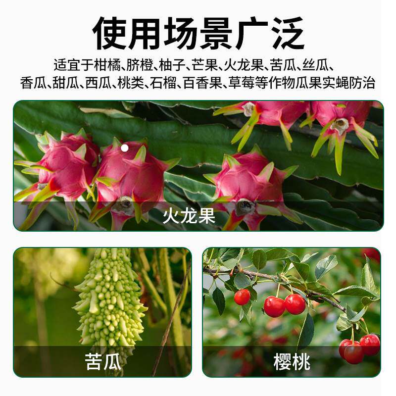 极速得刚瓜果实蝇诱粘剂果园迷昆虫诱捕器粘胶板向丝果蝇药针蜂引