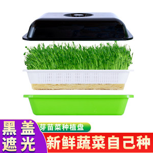 豆芽发芽盆无土栽培水培蔬菜设备豌豆芽苗菜育苗托盘种植芽菜豆苗