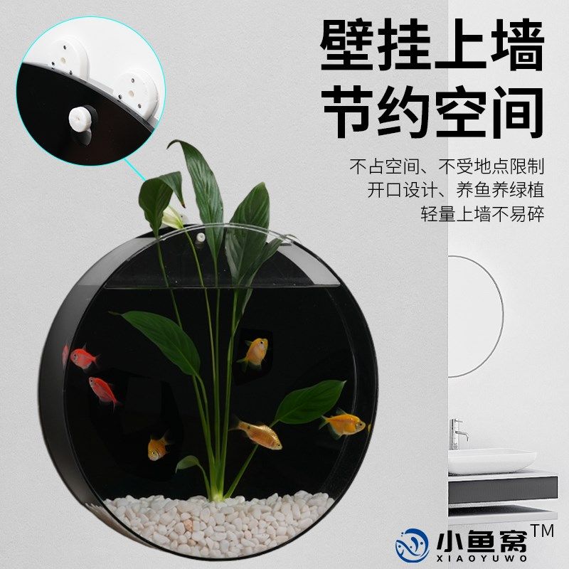 壁挂墙面水培植物微景观圆形花瓶挂壁鱼缸楼梯办公室客厅家居装饰,家居饰品,壁饰,淘宝优惠券,粉丝福利购,淘宝优惠卷