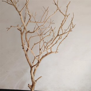 吊灯干枝分枝干树枝装饰树干枯枝室内天花板挂灯插花挂件舞台摆件
