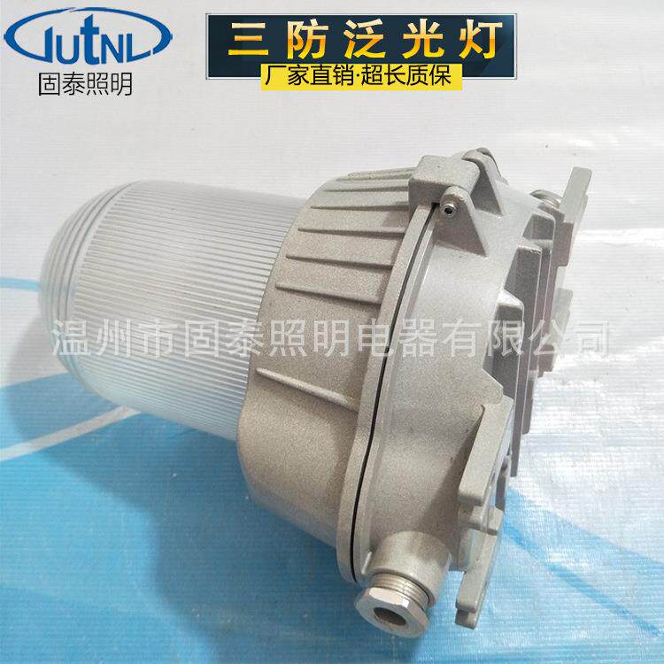 供应ZL8802防眩泛光灯ZL8802-E多方位防眩泛光工作灯（带应急）