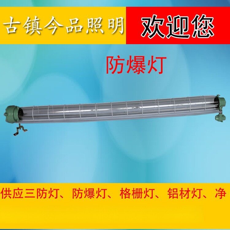 LED双管T8防爆灯外壳防水